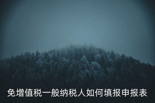 免稅如何填寫申報表，免稅企業(yè)如何填報增值稅納稅申報表