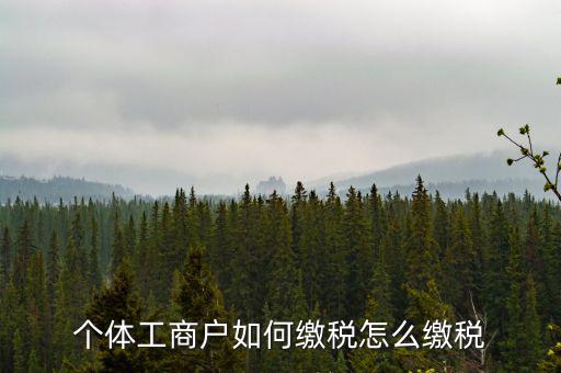 福建企業(yè)如何繳稅，企業(yè)所得稅是多少