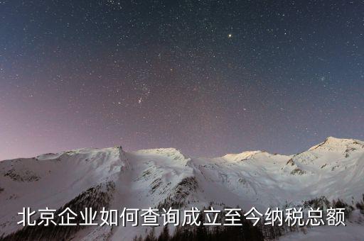 北京如何查詢公司的納稅等級(jí)，在國(guó)稅局要查一個(gè)公司的納稅情況怎么查