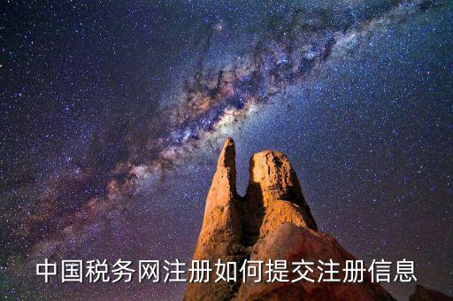 中國稅務(wù)網(wǎng)注冊(cè)如何提交注冊(cè)信息