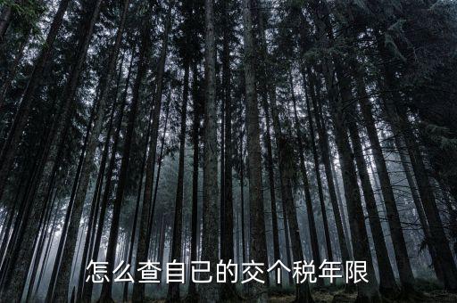 如何查詢納稅期限，怎么查自已的交個稅年限