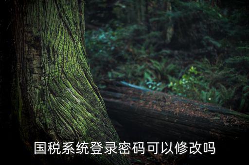 國(guó)稅系統(tǒng)登錄密碼可以修改嗎