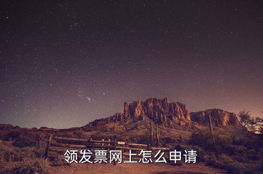 領發(fā)票網(wǎng)上怎么申請