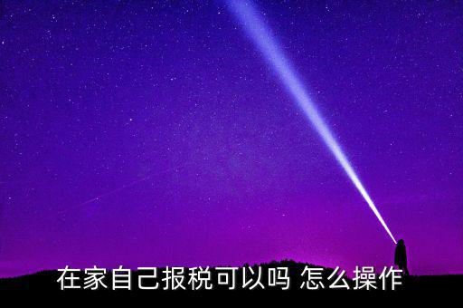 如何自行申報(bào)納稅，在家自己報(bào)稅可以嗎 怎么操作