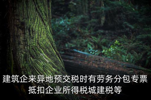 建筑企來(lái)異地預(yù)交稅時(shí)有勞務(wù)分包專(zhuān)票抵扣企業(yè)所得稅城建稅等