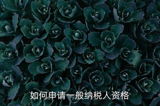 一般納稅人如何申請B級，一般納稅人B類企業(yè)如何申報企業(yè)所得稅