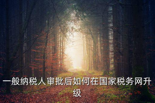 一般納稅人審批后如何在國家稅務(wù)網(wǎng)升級