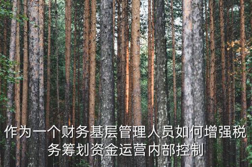 作為一個財(cái)務(wù)基層管理人員如何增強(qiáng)稅務(wù)籌劃資金運(yùn)營內(nèi)部控制