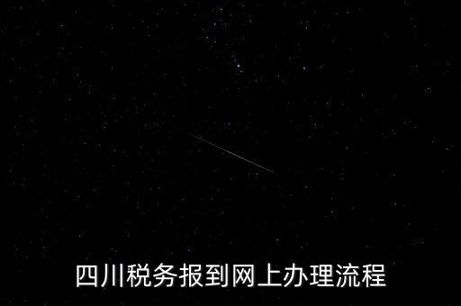 四川企業(yè)地稅如何網上申報系統(tǒng)，稅務申報如何網上申報