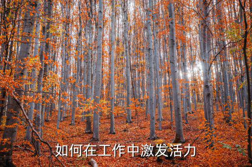 如何激發(fā)稅務(wù)干部的活力，在稅收工作中如何激發(fā)下屬的潛力