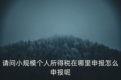 如何申報(bào)自然人兩處所得，請(qǐng)問小規(guī)模個(gè)人所得稅在哪里申報(bào)怎么申報(bào)呢