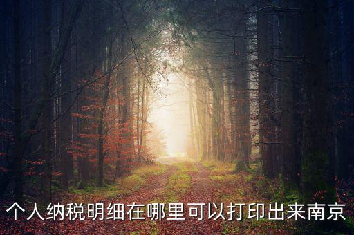 如何打印個稅明細(xì)，個人納稅明細(xì)在哪里可以打印出來南京
