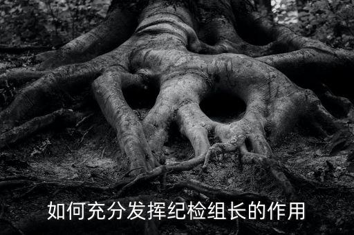 稅務(wù)局如何貫徹落實(shí)紀(jì)檢組長的講話，如何充分發(fā)揮紀(jì)檢組長的作用