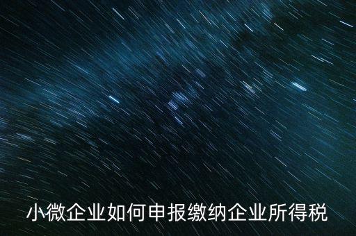 小企業(yè)如何繳納所得稅，小規(guī)模企業(yè)所得稅怎么交納