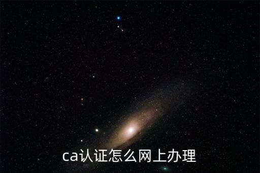 ca認證怎么網上辦理
