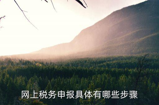 網(wǎng)上稅務申報具體有哪些步驟
