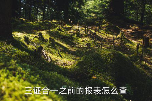 如何查三證合一之前的國稅數(shù)據(jù)，三證合一之前的報表怎么查