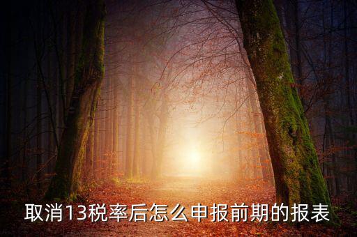 取消13稅率申報(bào)表如何填，13的稅率沒了納稅申報(bào)以后怎么辦