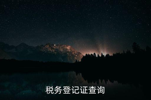 稅務登記證查詢
