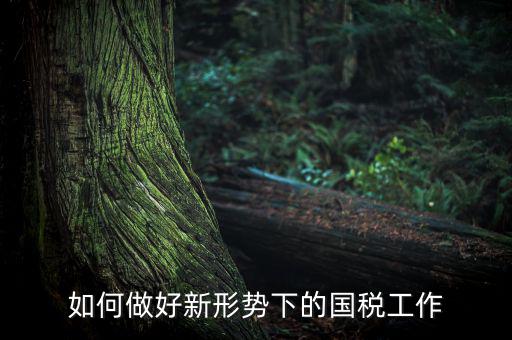 如何貫徹國稅工作會議上的講話，如何貫徹落實國稅系統(tǒng)化政府采購工作規(guī)范