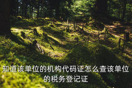 如何查企業(yè)稅務(wù)登記證號(hào)，公司的稅務(wù)登記證號(hào)怎么查詢