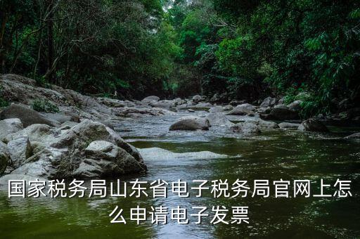 國家稅務局山東省電子稅務局官網上怎么申請電子發(fā)票