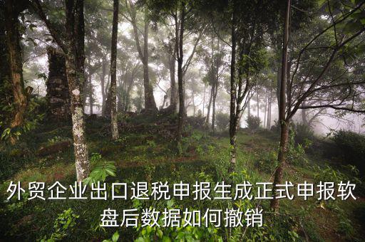 外貿企業(yè)出口退稅申報生成正式申報軟盤后數(shù)據(jù)如何撤銷