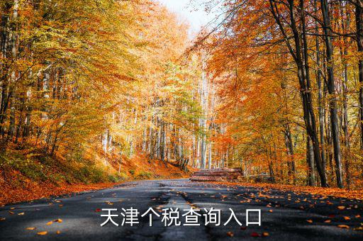 天津個稅如何查詢密碼，天津個稅查詢?nèi)肟?/></a></span><span id=