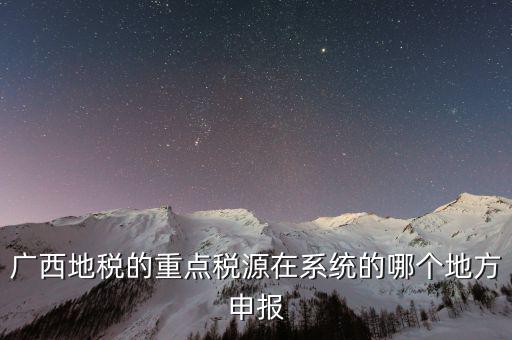 廣西地稅的重點(diǎn)稅源在系統(tǒng)的哪個地方申報