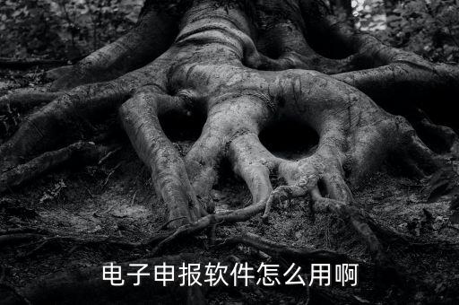 濟(jì)南電子稅務(wù)如何使用，網(wǎng)上辦稅平臺手機(jī)app怎么操作
