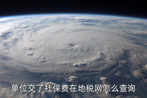 單位交了社保費在地稅網(wǎng)怎么查詢