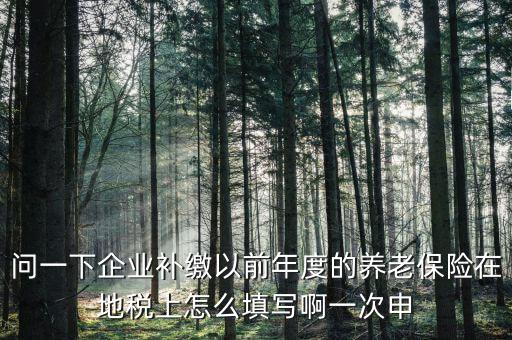 如何補打地稅社會保險費申報表，在網(wǎng)上交完社保后要怎樣補打社會保險費申報表