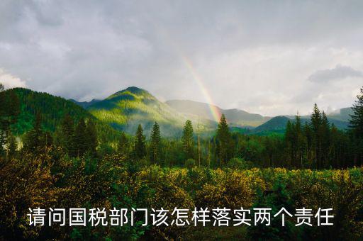 請(qǐng)問國(guó)稅部門該怎樣落實(shí)兩個(gè)責(zé)任