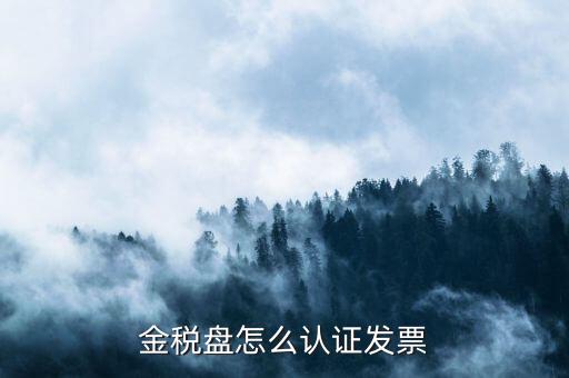 如何用金稅盤認證發(fā)票，金稅盤怎么認證發(fā)票