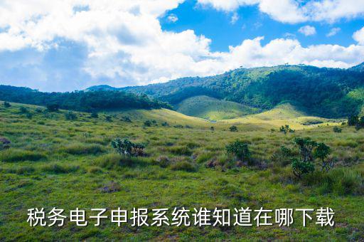 浙江省稅務如何申報系統(tǒng)下載，稅務電子申報系統(tǒng)誰知道在哪下載