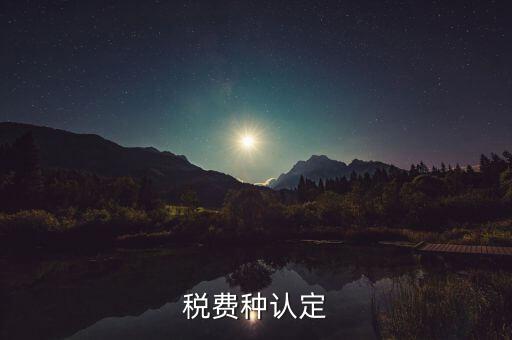 稅費種認定