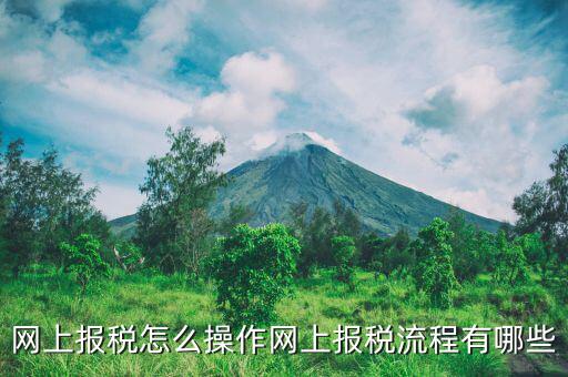 網上報稅怎么操作網上報稅流程有哪些