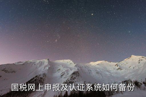 稅友申報(bào)軟件如何備份，國稅網(wǎng)上申報(bào)及認(rèn)證系統(tǒng)如何備份