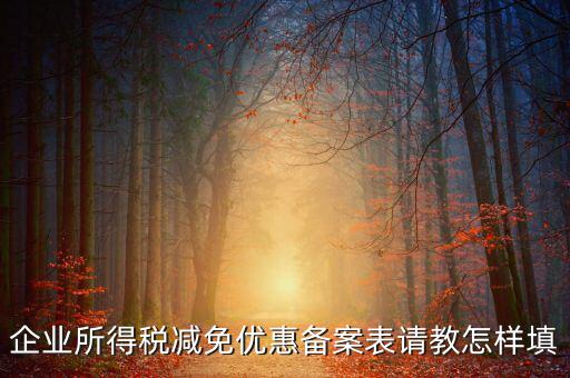 企業(yè)所得優(yōu)惠備案如何，企業(yè)所得稅減免優(yōu)惠備案表請(qǐng)教怎樣填