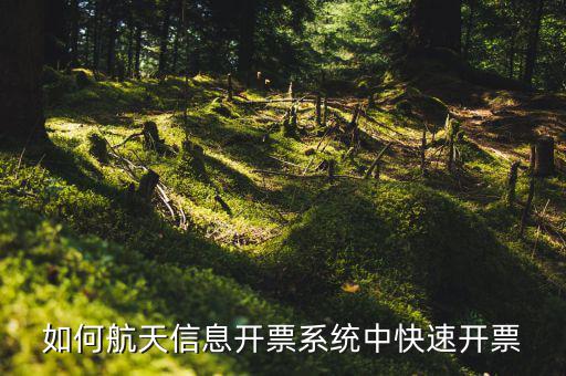 航天信息如何開票，怎么在航天信息開票軟件開紅字發(fā)票