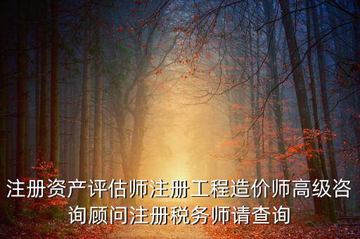 如何查詢(xún)稅務(wù)師信息，注冊(cè)稅務(wù)師報(bào)名時(shí)的信息哪里能查到