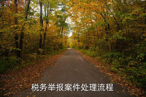 稅務(wù)局如何受理舉報(bào)，怎么投訴國(guó)稅工作人員 這5個(gè)渠道都可以進(jìn)行投訴
