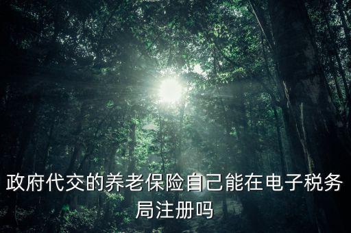 政府代交的養(yǎng)老保險自己能在電子稅務(wù)局注冊嗎