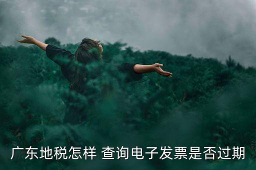 如何查詢電子發(fā)票是否有效，廣東地稅怎樣 查詢電子發(fā)票是否過期