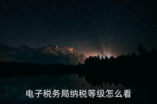 a級(jí)納稅人如何查詢，電子稅務(wù)局納稅等級(jí)怎么看
