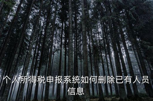 金三系統(tǒng)個(gè)稅申報(bào)人員如何刪除，如何刪掉個(gè)人所得稅人員信息