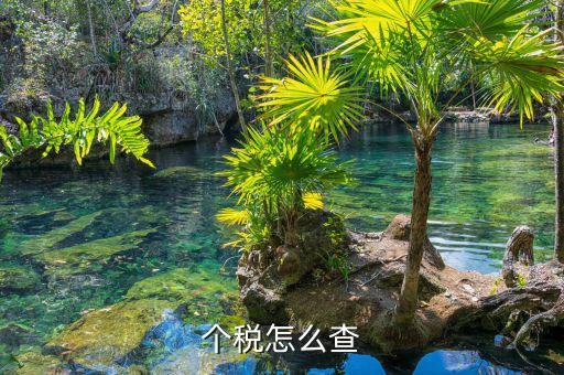 如何查詢個(gè)人稅，個(gè)稅怎么查