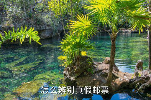 如何查油票的真?zhèn)?，到底怎樣才能辨別鑒定郵票的真假呢