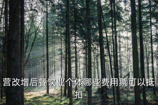 餐飲業(yè)如何抵扣，餐飲業(yè)無法向個(gè)人消費(fèi)者開具增值稅專用發(fā)票那怎么抵扣進(jìn)項(xiàng)稅