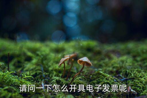 上海如何申領電子發(fā)票，請問一下怎么開具電子發(fā)票呢